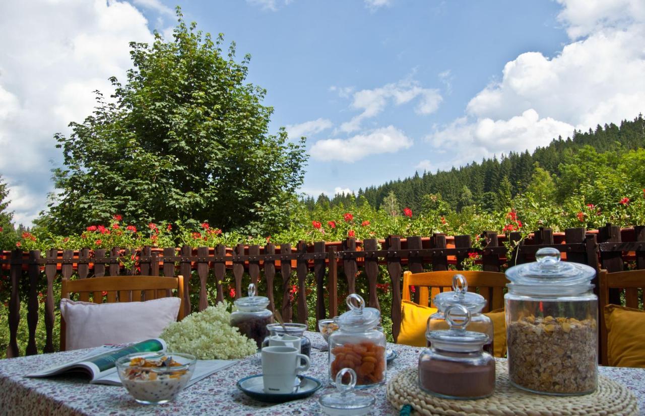 Hotel Gorski Czarna Gora Stronie Slaskie Bagian luar foto