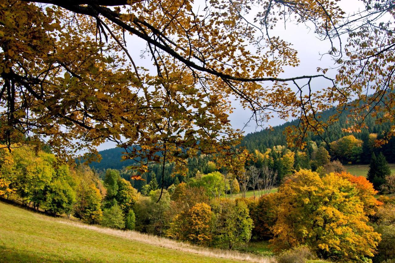 Hotel Gorski Czarna Gora Stronie Slaskie Bagian luar foto