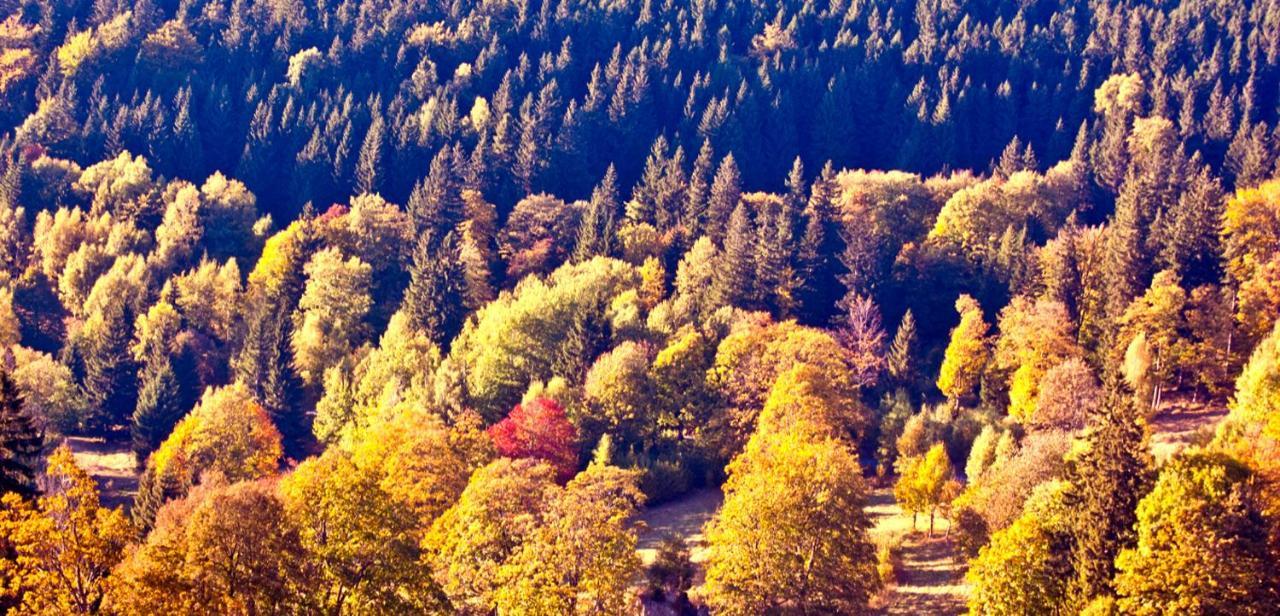 Hotel Gorski Czarna Gora Stronie Slaskie Bagian luar foto
